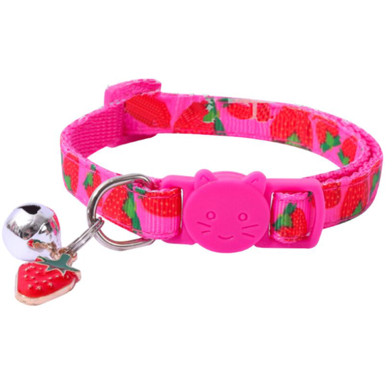 Cute Fruit Patterns On A Shiny Nylon Collar And Matching Leash,