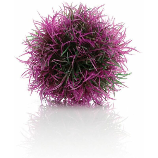 Color Ball, Purple - Biorb