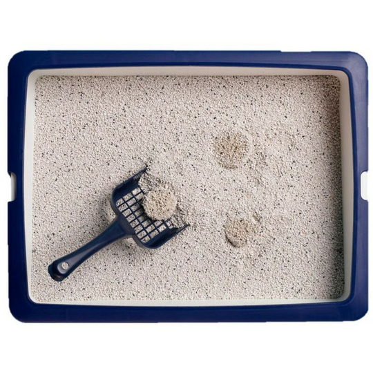 Hygiene Plus Non-Clumping Cat Litter (5L) (White) - White - Catsan
