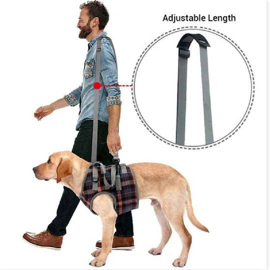 Thsinde - Support Dog Harness for Disabled Dogs Grid Dog Lifting Harness Support Belt Rehabilitation Harness