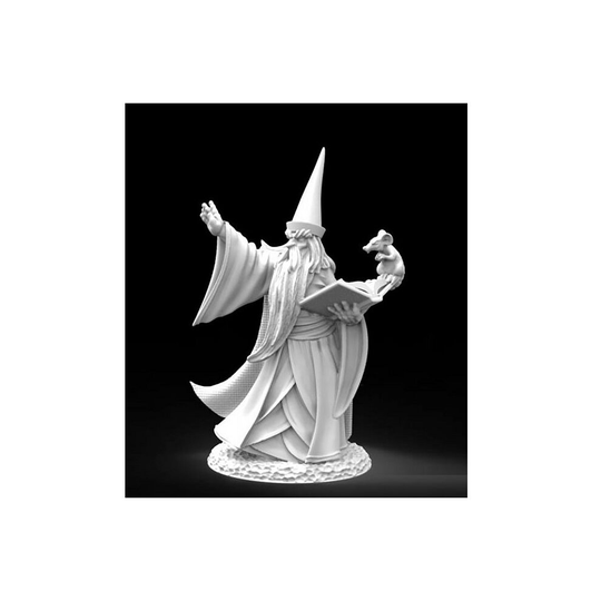 Reaper Bones USA 30002 Darius the Wizard