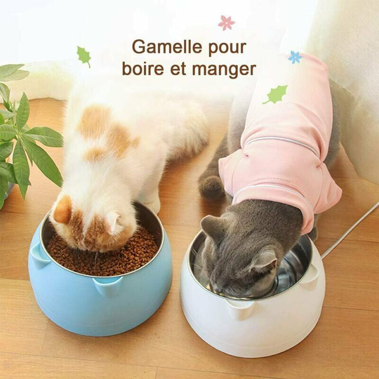 400 ml Bol Bol for animals in stainless steel steel not non-slip base rubber carpet Large black dog bowl