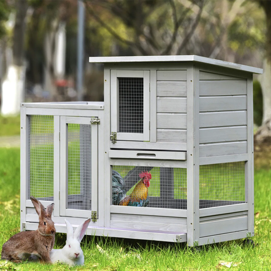 Oaklee Weather Resistant Rabbit Hutch with Ramp