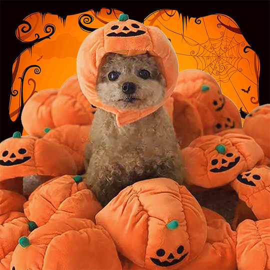 Thsinde - Halloween Pet Cat and Dog Costumes, Funny Pumpkin Hats, Adjustable Pumpkin Chip Hats, Party Hats, Party Kitten and Puppy Clothes, Halloween