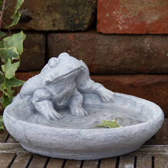Domenica Frogs Birdbath