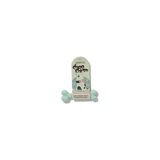 Tough Toys Nylon Dog Chew Mint Bone Small 13cm