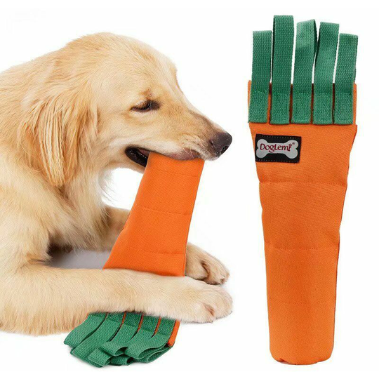 Carrot Bite Resistant Dog Toy,rlife Thick Plastic Bottle Cover, Homemade Chew Toy with Sniffs Interactive Game Design for Medium Large Dogs(1 pcs)