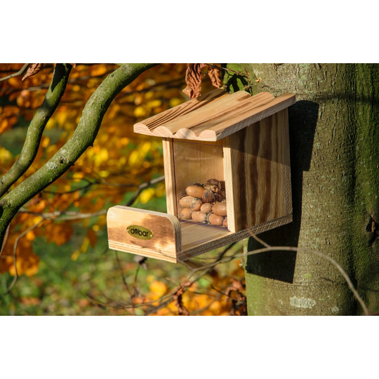 Squirrel Feeder