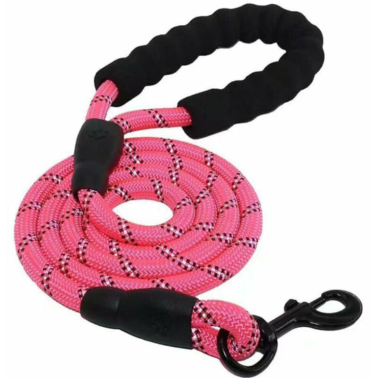 Echoo - Laisse Chien, Laisse Corde pour Chien avec Poignée Rembourrée Douce, Fils Très Réfléchissants, Sacs à Déchets et Distributeur pour Chien, 1,5