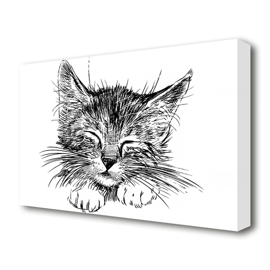 Cute Kitten Face Wildlife - Wrapped Canvas Drawing Print