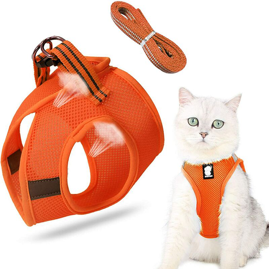 Cat harness with leash, cat harness and leash, small cat, leash set, pet cats, puppy, kitten, outdoor walk.