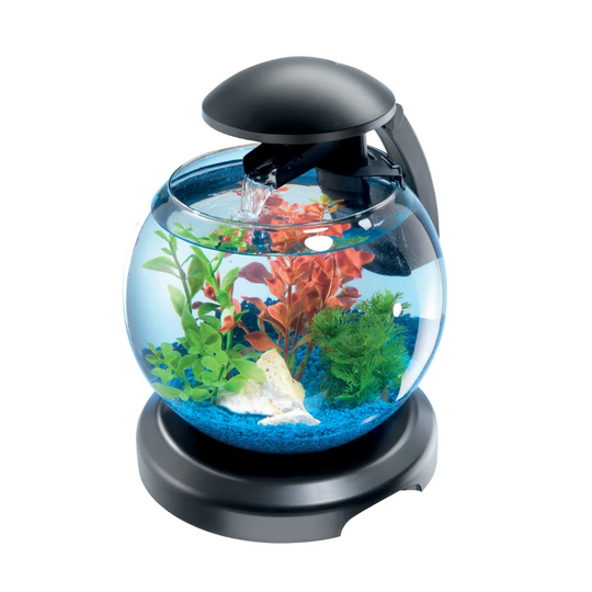 Aquarium Tetra Waterfall Globe