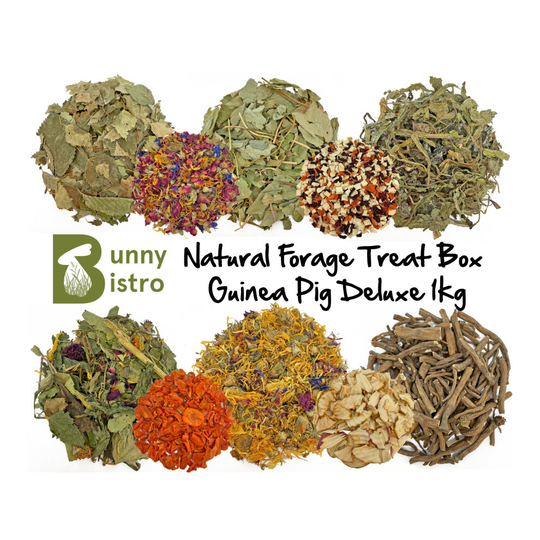 (Guinea Pig Deluxe (1kg)) Bunny Bistro Natural Forage Treat Box - Botanical Natural Food