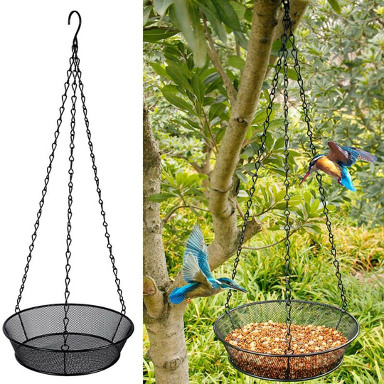 Hanging Mealworm Food Dispenser - Diameter: 19 cm - All year round wild bird feeder