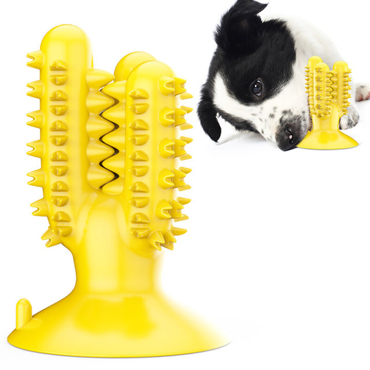Dog Chew Toys Teeth Cleaning Dental Toy Cactus-Shaped Toy Interactive Dog Toys with Suction for Dogs