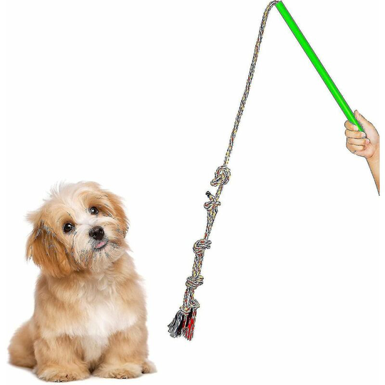 Thsidne Flirt Pole Indestructible Dog Training Toy, Interactive Dog Game Toy With Adjustable 3-knots 67 Inch Rope-1_a