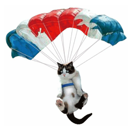 Perle Rare - Car Rearview Mirror Ornaments, Creative Cute Cat Car Pendant with Colorful Balloon, Car Interior Decoration Accessories, Pendant