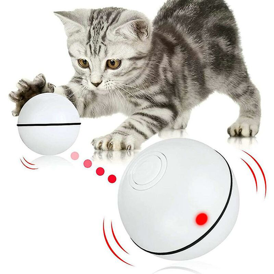Automatic ball-type intelligent cat toy automatically becomes a pet toy