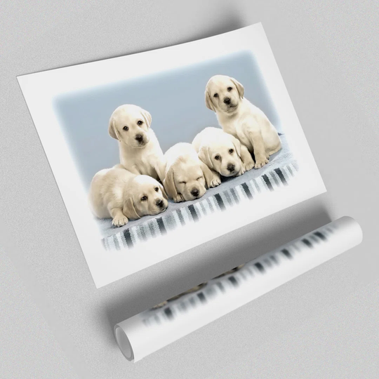 Cute Puppies Wild Life - Photograph Print on Paper
