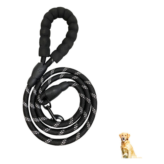 High Quality 150cm Adjustable and Reflective Nylon Dog Leash for Large or Medium Sized Dogs for Running, Jogging, Hiking (Black)