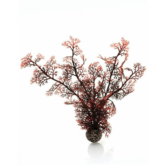 Sea Fan, Large, Crimson - Biorb