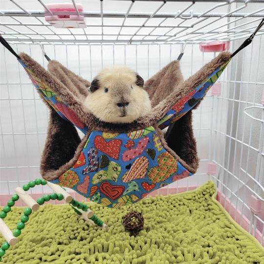Small Animal Hammock, Soft Warm Pet Hammock Bunk Hanging Bed for Hamster Ferret Parrot Guinea Pig (2 Layer Nest,20*20cm)