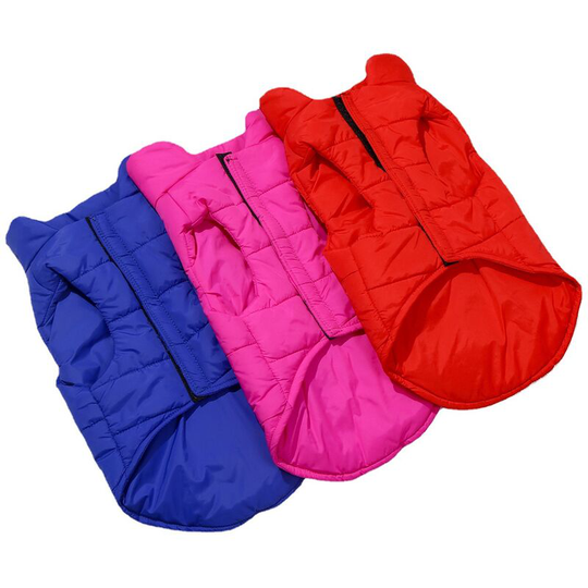 3 new Autumn/Winter dog vest cotton vest with lock pet dog vest Velcro pet clothes 25*34*22cm