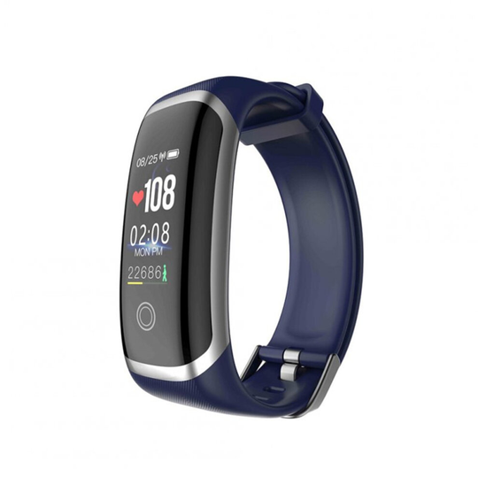 Colorful Screen Smart Watch Continuous Heart Rate Blood Pressure Health Monitoring Sports Ip67 Waterproof Bracelet Silver blue