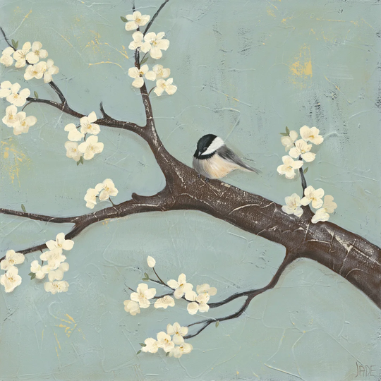 Chickadee & Dogwood II by Jade Reynolds - Wrapped Canvas Art Prints