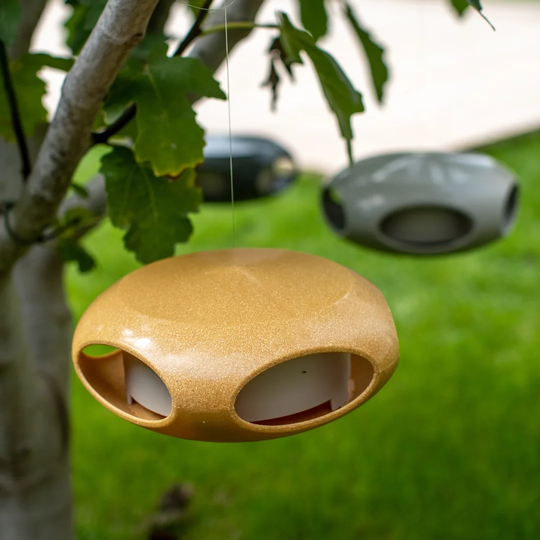 [pi:p] Tray Bird Feeder