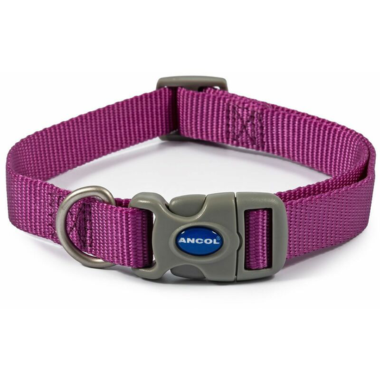 Ancol Viva Adjustable Collar Purple - 30 Cm - 50 Cm Purple