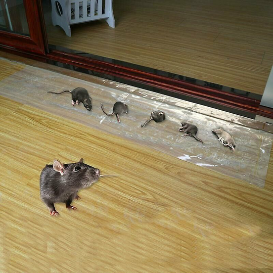 6 Pack 1.2m Sticky Rat Invisible Stickers