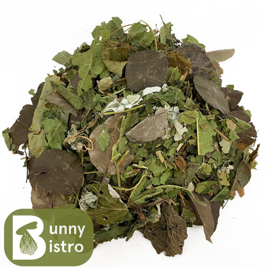 (1kg) Bunny Bistro Fruit Leaf Salad - Natural Botanical Food, Rabbit, Guinea Pig, Degu
