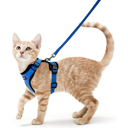 Monly - Cat Harness Small Dog Leash Adjustable Kitten Harness Black xs Reflective Cat Harness Collar Breathable Vest for Rabbit, European Cat, Maine