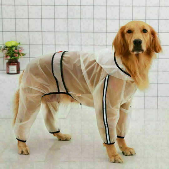Waterproof coat for small dogs and cats, with hood, adjustable, transparent, and ultra-light xl