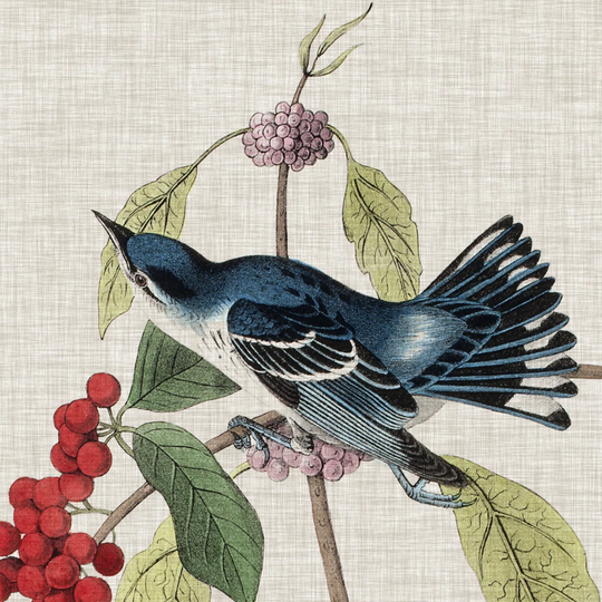 Avian Crop III by John Audubon - Wrapped Canvas Art Prints