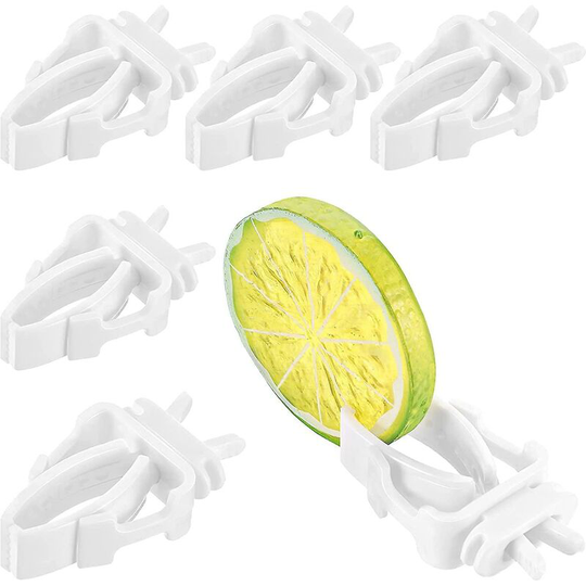 Bird Cage Food Holder Parrot Fruit Vegetable Clips Bird Cage Feeder Clip 5 Pieces Thsinde