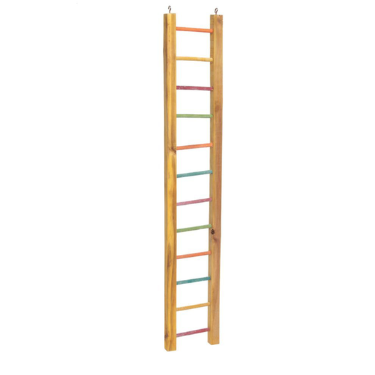 Lazy Bones Parrot Ladder Multi Coloured 92cm