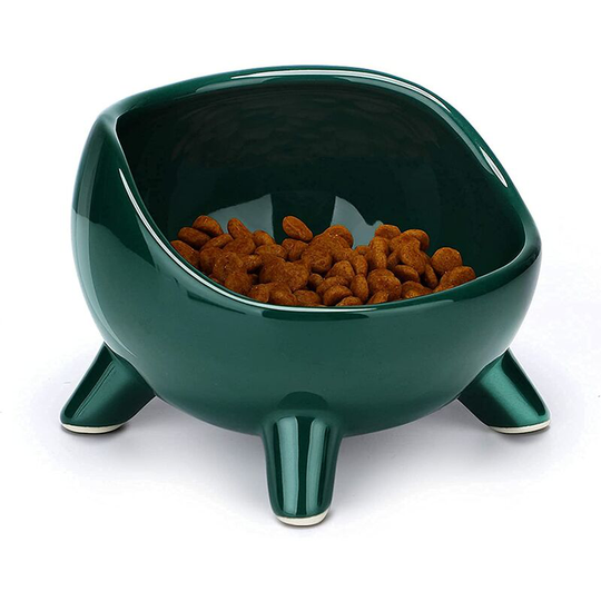 Echoo - Cat Bowl Ceramic Raised Bowl for Cat/Puppy, Angled Orthopedic Bowl for Adult Cat/Kitten for Food