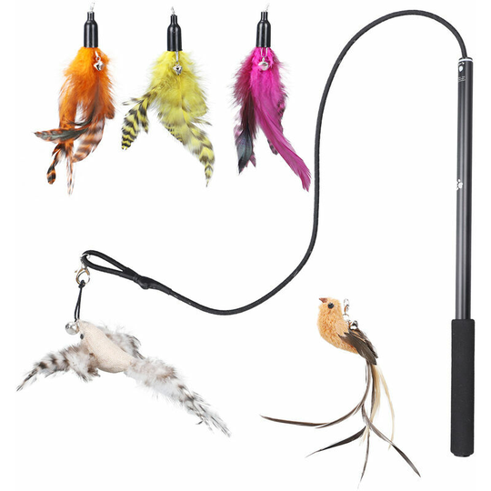 Cat Fishing Rod and Laser Interactive Cat Feather Toys Retractable Cat Charmer Wand and 5 Refills Teaser Worm Bird Feathers Cat Toys for Indoor and