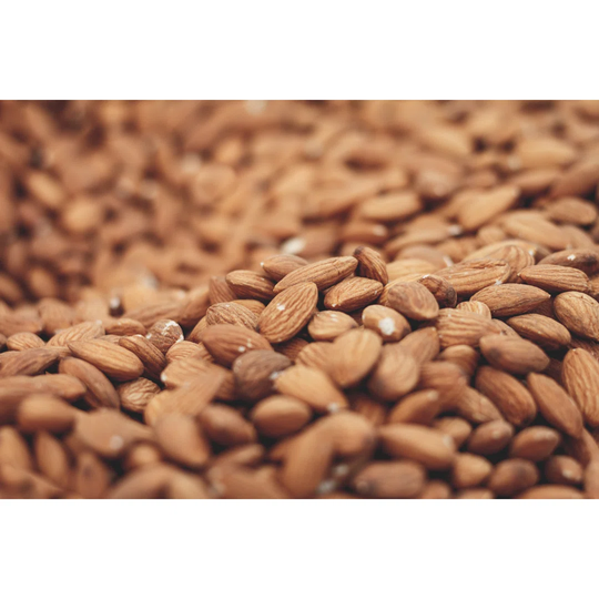 Thousands of Almonds - Wrapped Canvas Photograph