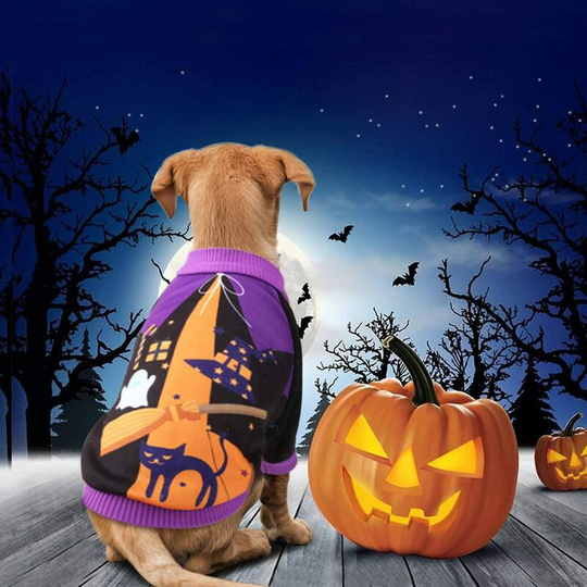 Halloween Pet Costume Pumpkin Dog Costume Coat Jackets Sweater Chihuahua Cats Dress Up Party Halloween Easter Festival Clothing(XL)