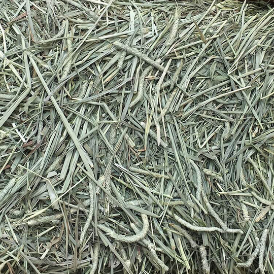 Pillow Wad - Meadow Hay (Large) (Green/Brown) - Green/Brown