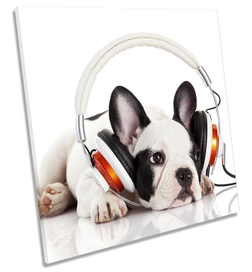 French Bulldog Puppy Music Picture CANVAS WALL ART Square Print White
