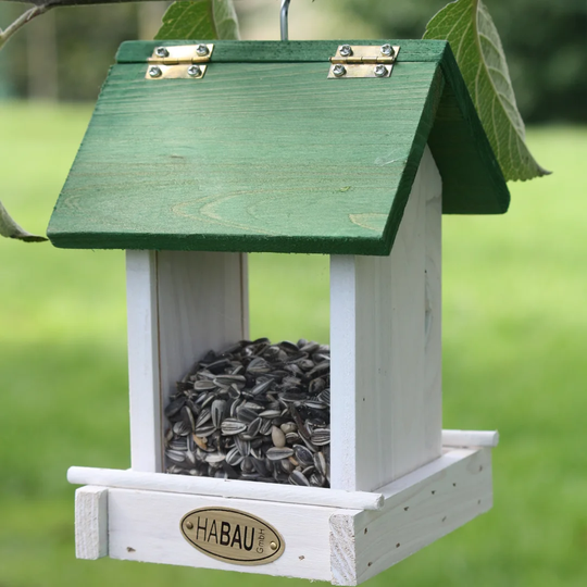 Hanging Bird House