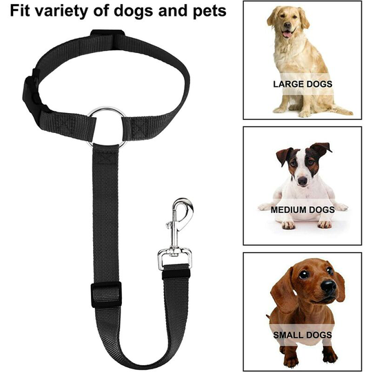 Litzee - Set of 2 Adjustable and Durable Universal Backseat Harness for Dogs, Dog Seat Belt, Car Harness for Dogs with Carabiner, Black