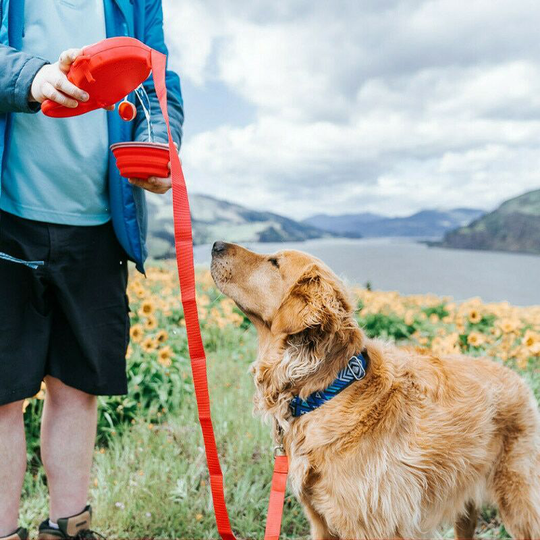 3 in 1 red Pet Dog Leash Rope with Water Bottle Bowl Multi-function Pet Dog Walking Feeder Water Bowl and Lead Leash Pet Accessories
