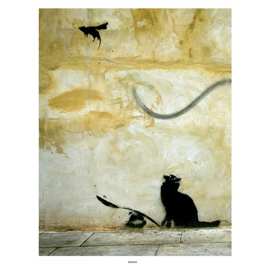 Cat Photographic Print