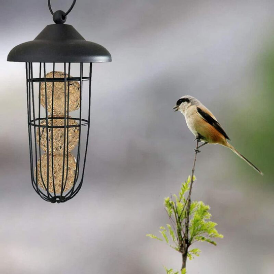 Outdoor Bird Feeder,Bird Grease Ball Dispenser,Rustproof Metal Outdoor Hanging Bird Feeder,Reusable