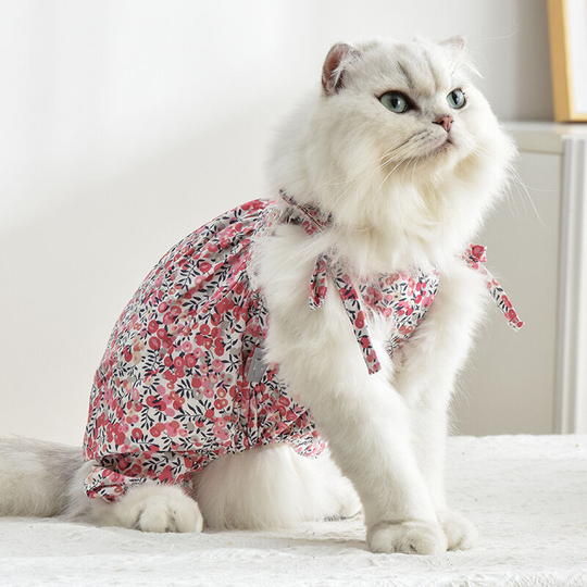 Pet clothes dog clothes cat clothes cat clothes pumpkin pants British short Garfield Muppet clothes fruit sling pumpkin pants - pink (m) back length